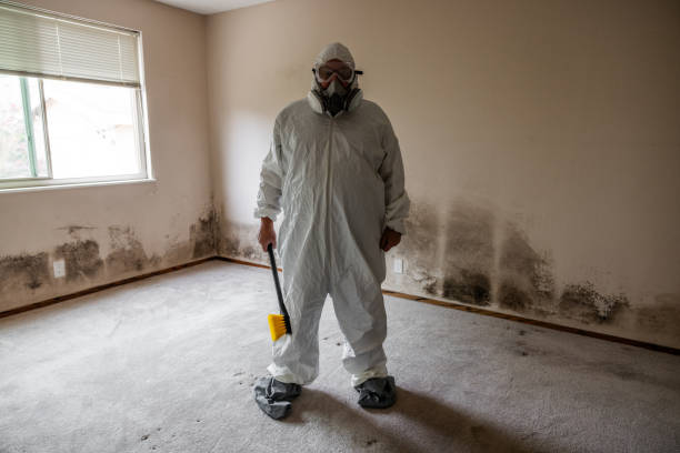 Best Crawl Space Mold Remediation  in Vernal, UT